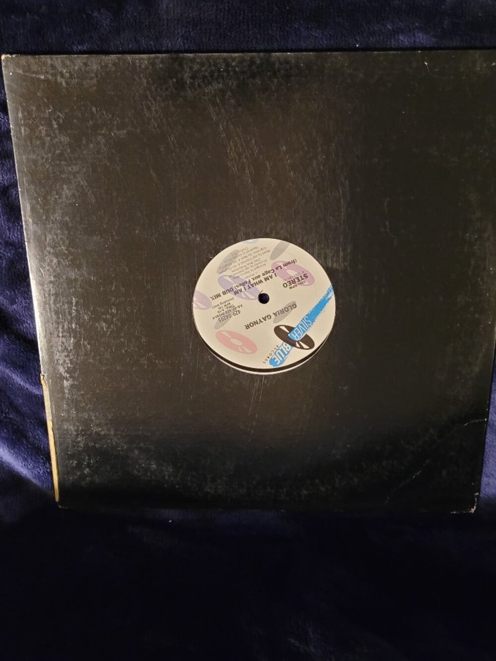 Gloria Gaynor I Am What I Am Dub Mix 12-Inch Promo Vinyl Silver Blue 4Z9 04295 H